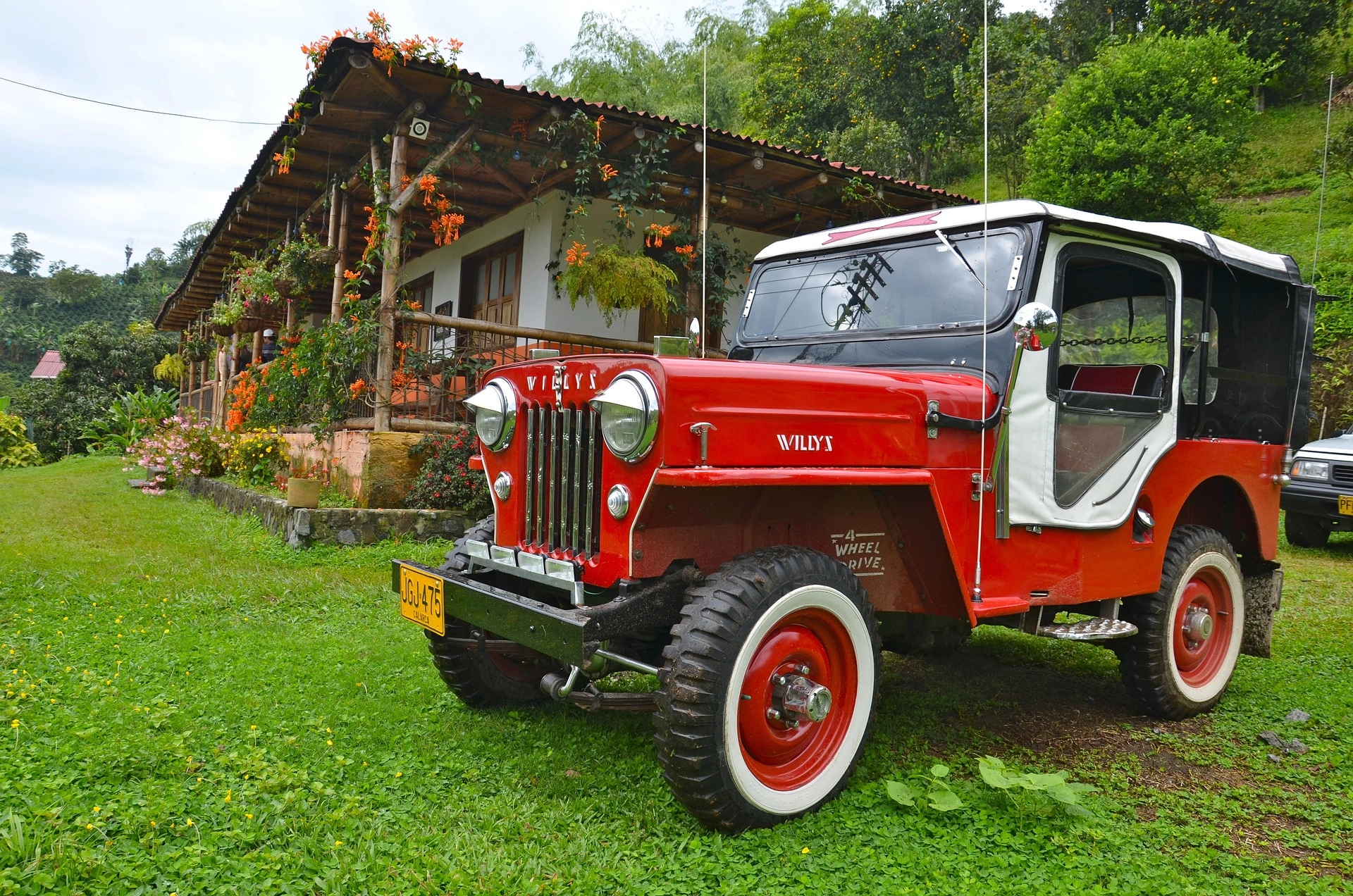 Jardín